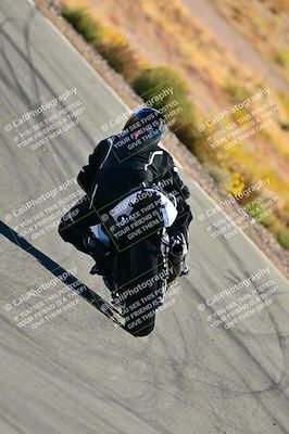 media/Oct-24-2025-2WTD (Fri) [[491f36c2bf]]/C Group/Session 3 (Turn 5)/